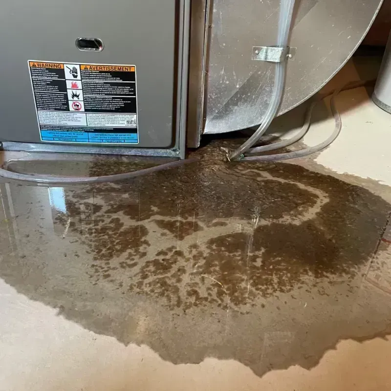 Appliance Leak Cleanup in Pike County, IL